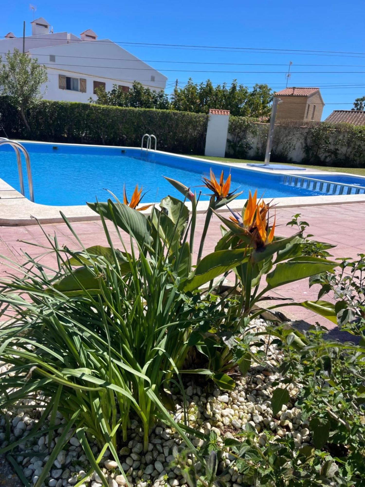 Cala Puntal Daire Vinarós Dış mekan fotoğraf
