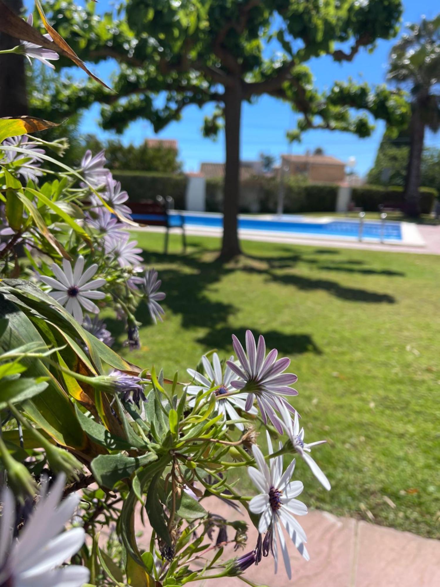 Cala Puntal Daire Vinarós Dış mekan fotoğraf